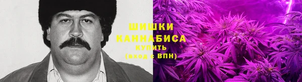 Альфа ПВП Богородск