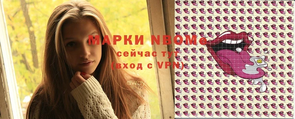apvp Богородицк