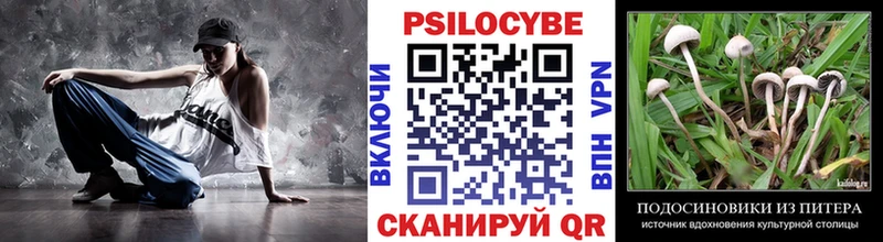 Псилоцибиновые грибы GOLDEN TEACHER  Трёхгорный 